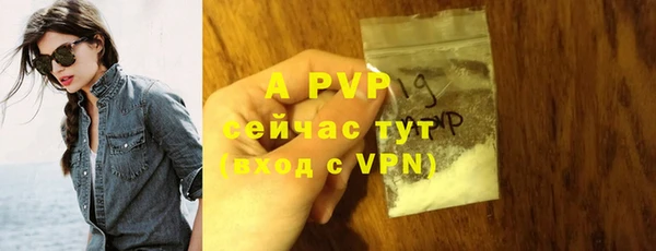 прущие крисы Абаза