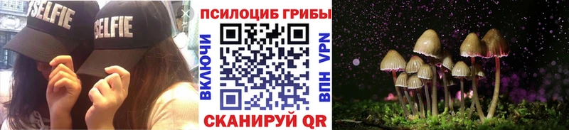 где найти наркотики Красновишерск Псилоцибиновые грибы Magic Shrooms